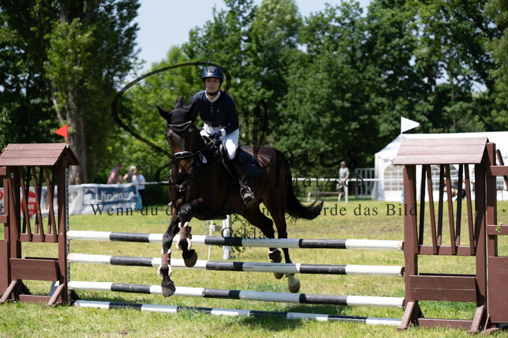 A7V06001 | Pferdefotograf