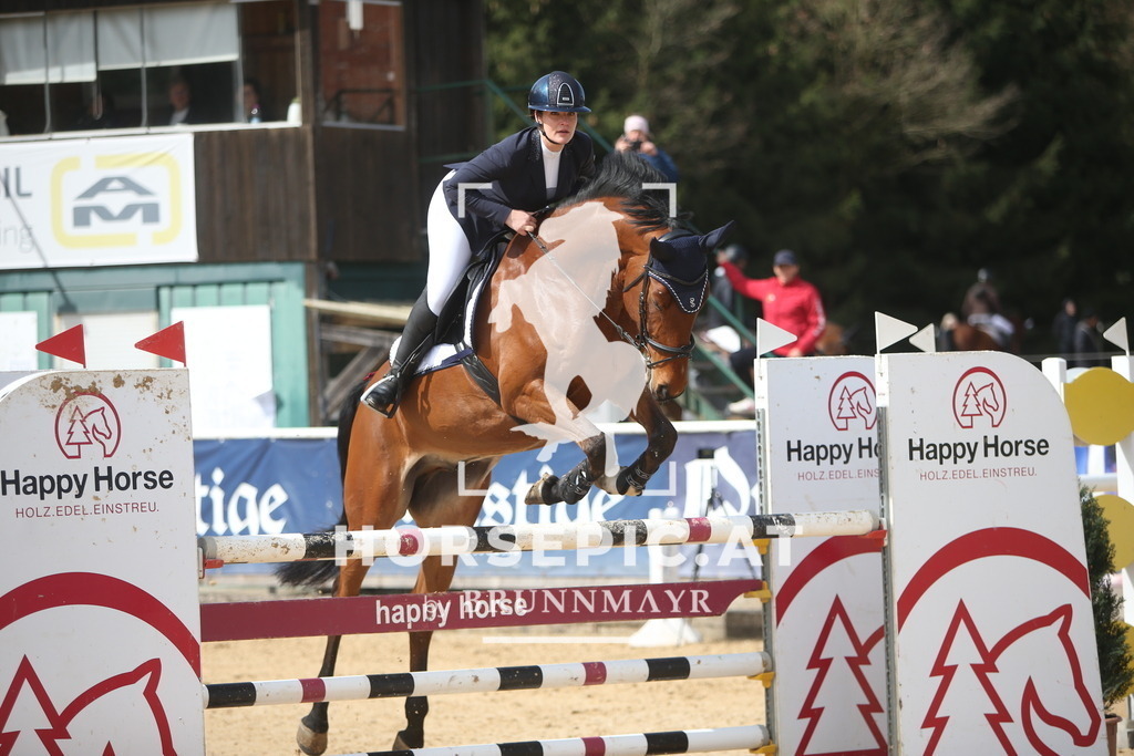PP013902 | Willkommen bei Brunnmayr - Design & Fotografie – Ihrem Spezialisten für Reitturniere und Pferdeveranstaltungen in Oberösterreich, Salzburg und Bayern! Seit über 17 Jahren sind wir leidenschaftlich dabei.