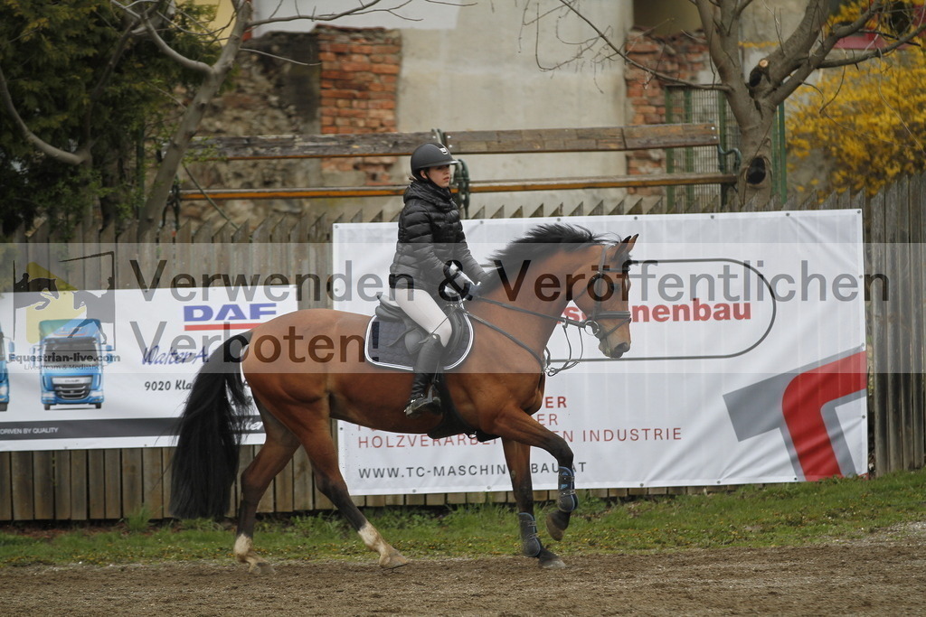 _MG_3582 | equestrian-live-com