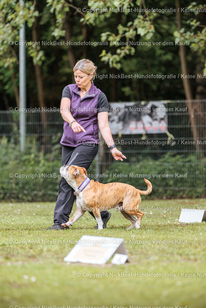 RO-Blumenthal-2026-Nickbest-Hundefotografie-1151 | Dein Hund! Dein Moment! Deine Erinnerungen! Hundefotografie in Bremen Blumenthal. Ich fange die besonderen Momente deines Vierbeiners ein – ob Indoor mit Blitzanlage oder in der freien Natur. Sicher dir dein Moment und dein Termin für eure Erinnerungen.