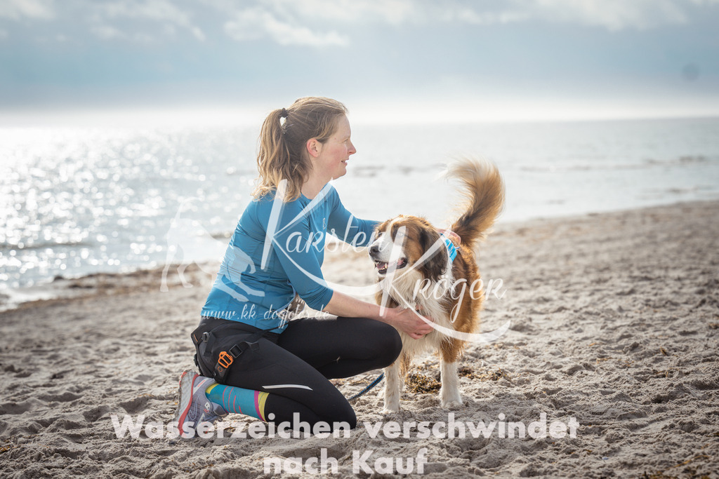 1154_ZZ92393 | kk-dogfotos