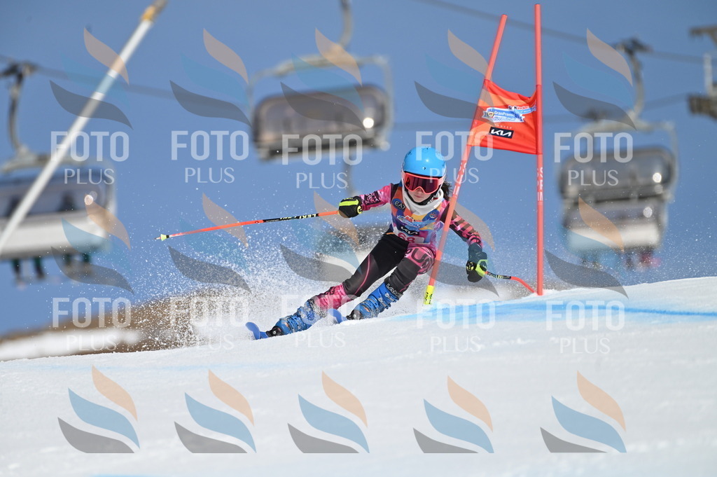 BGV_8859 | holidayphoto