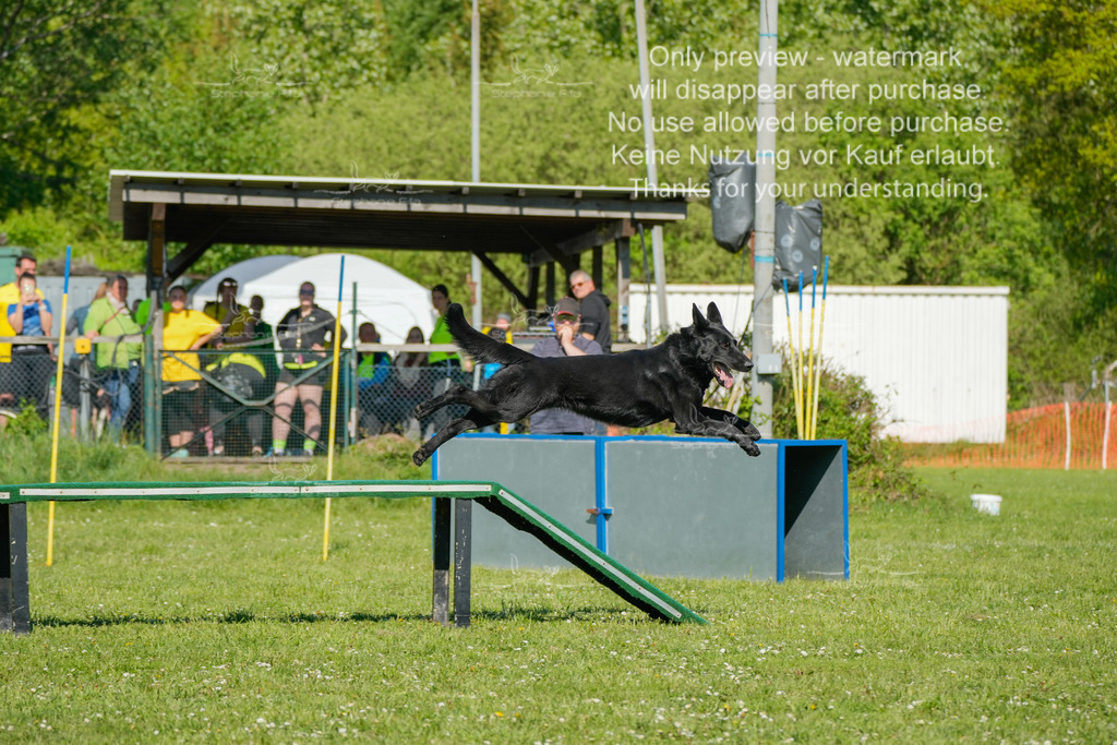 Sa_CSC-73 | stephaniefillaphotographie - Realisiert mit Pictrs.com