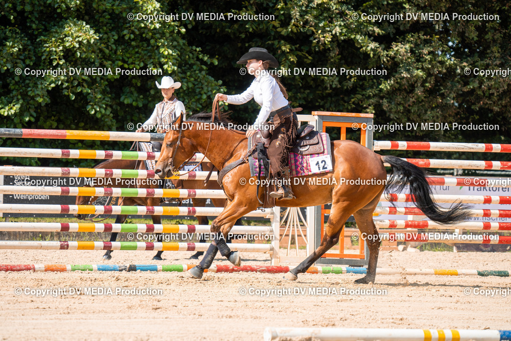 ZH100245 | dv-media-shop - Realisiert mit Pictrs.com