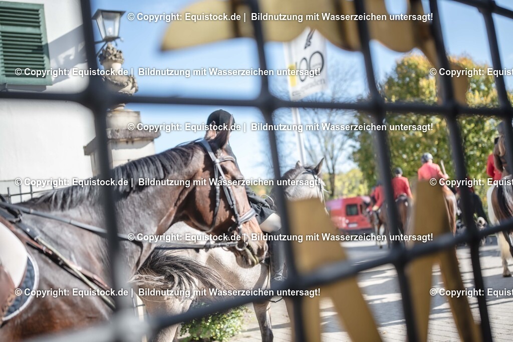 20251011_Jagd-Marbach_0654 | Foto: Thomas Hartig