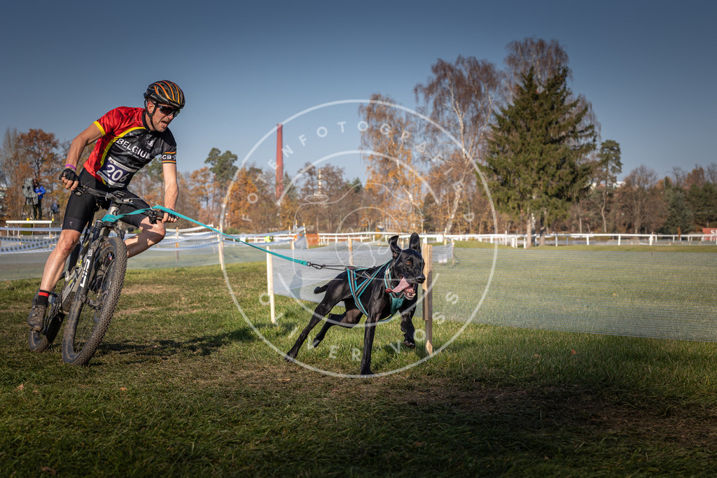 CaniXpix_0L8A6821 | Hundefotografie, Tierfotograf, Pfotenfotografie, Fotoshooting Hund, Hunde Portrait, Hundesport, Hundeportraits, Heideshooting, Hunde, Sportfotograf, Hundefotograf, Turnierhundsport, THS,  - Realisiert mit Pictrs.com