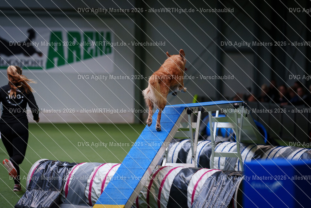 allesWIRTHgut_Tierfotografie-DVG_Agility_Masters_2026-13_28-7R509493 | Professionelle Tierfotografie in Mönchengladbach von Daniel Wirth (allesWIRTHgut). Liebevolle & natürliche Bilder von Hunden & Katzen für unvergessliche Erinnerungen.