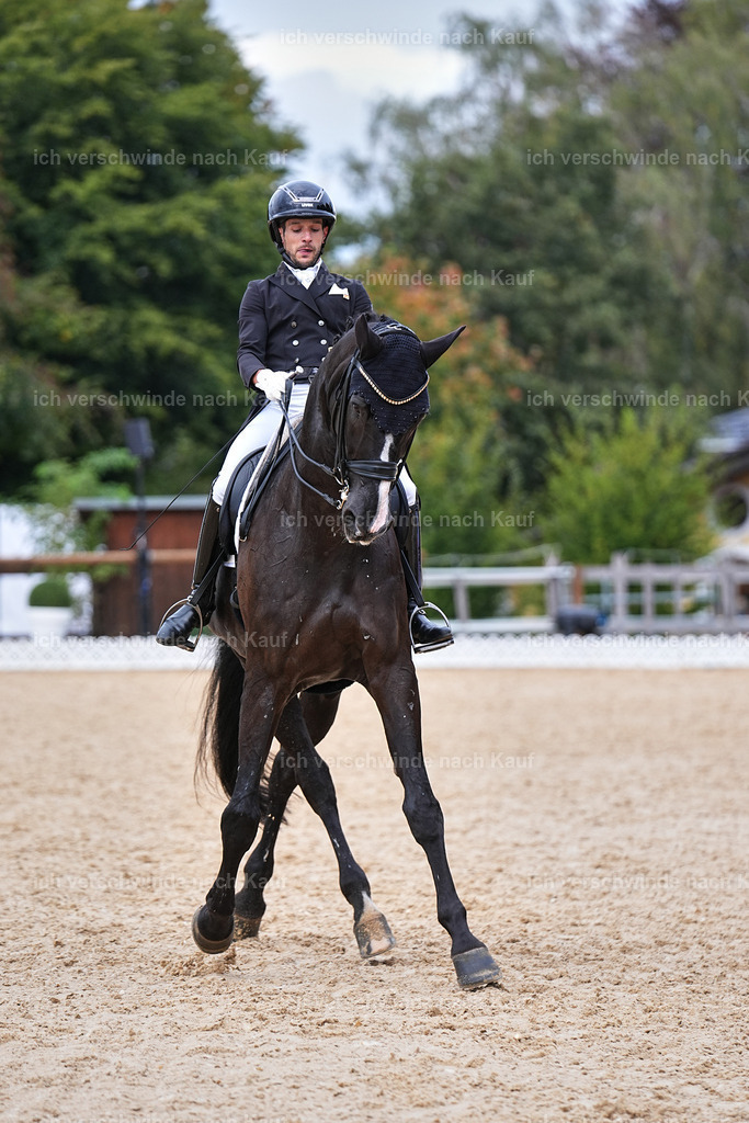 12-031-DRESSUR  S___  -Marixx-5226 | working equitationturnier fotograf videograf stoibphotography marixx film working equitation deutschland reitsport turnierfotografie eventfotografie equestrian events