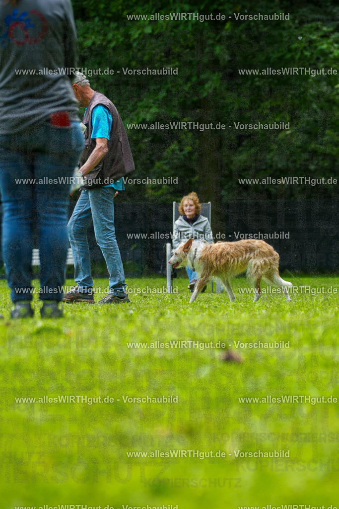 @allesWIRTHgut_Tierfotografie - www.allesWIRTHgut.de - 7R505617 | Professionelle Tierfotografie in Mönchengladbach von Daniel Wirth (allesWIRTHgut). Liebevolle & natürliche Bilder von Hunden & Katzen für unvergessliche Erinnerungen.