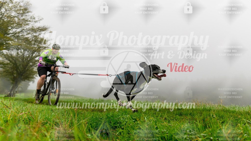MompixPhotography_20TSB_E5_Bike-106 | PayLife