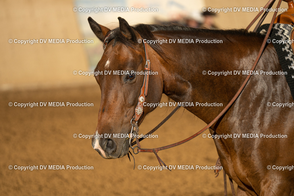 LAU00766 | dv-media-shop - Realisiert mit Pictrs.com