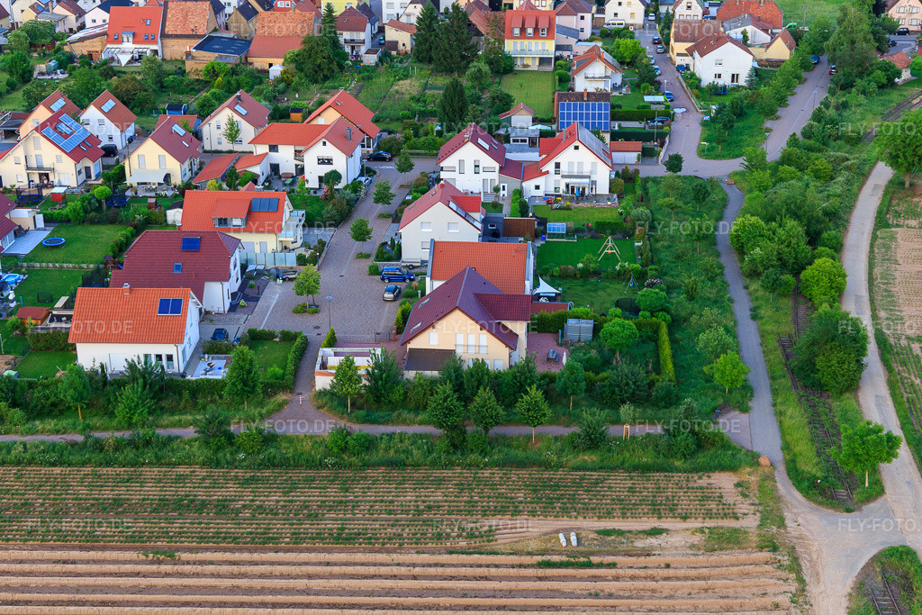 Luftbild: Unteres Rappenfeld im Ortsteil Mörlheim in Landau im Bundesland Rheinland-Pfalz in Deutschland. Foto: IMG_100605.jpg vom 01.06.2017 durch Werner Riehm/FLY-FOTO.de