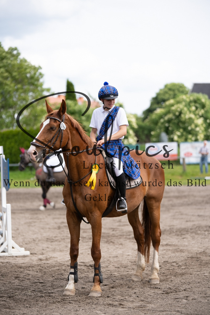 A7V04779 | Pferdefotograf