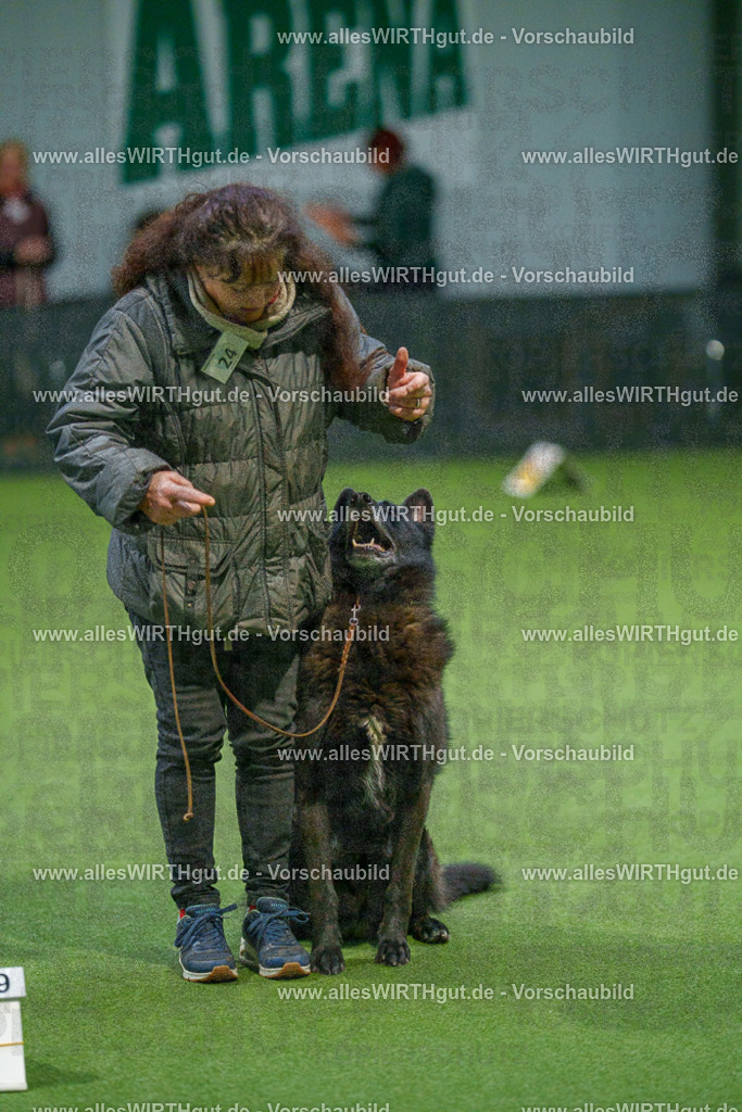 7R504986 | Professionelle Tierfotografie in Mönchengladbach von Daniel Wirth (allesWIRTHgut). Liebevolle & natürliche Bilder von Hunden & Katzen für unvergessliche Erinnerungen.