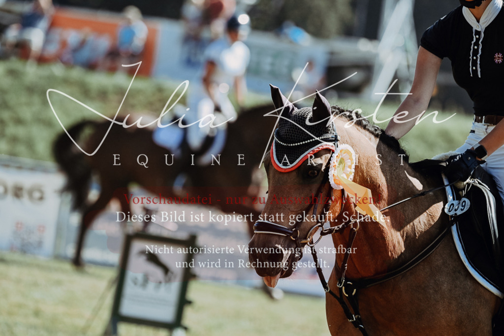 DSC_6247 | Pferde- und Turnierfotografie in Westsachsen. Pferdeportraits, Auftragszeichnungen und intuitive Kunst.