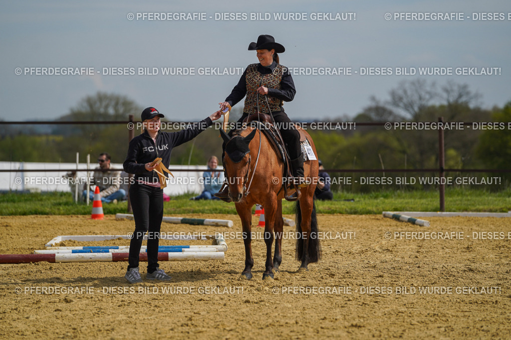 DSC04206 | Pferdegrafie