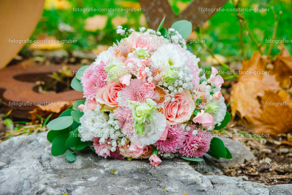 1013 | Fotografie Constance Gruber - Realisiert mit Pictrs.com