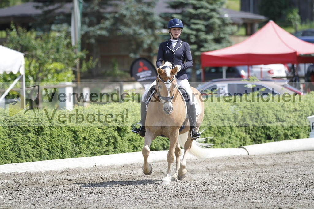 _MG_9967 | equestrian-live-com