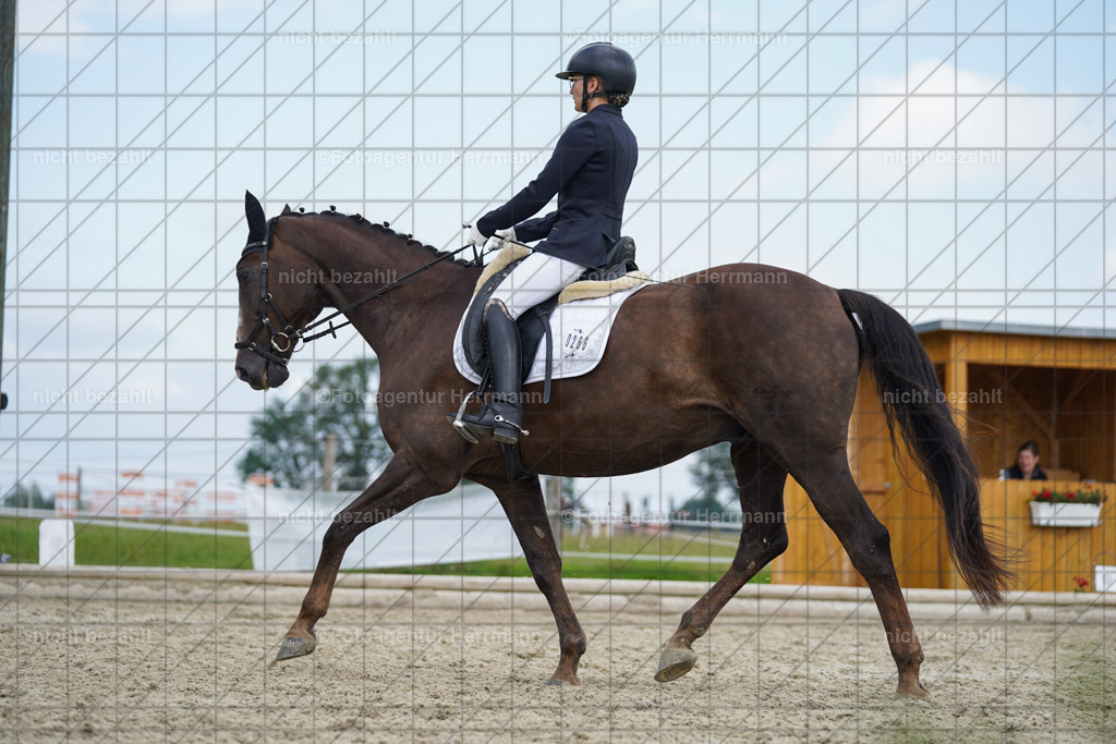 20230826-FAH05202 | Forstinning, 2023, Dressurturnier, Turniersportbilder, Turnierfotografen Bayern, Fotoagentur Herrmann, Reitsportfotografie, Turnierbilder