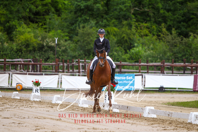 DKP47147 | Turniersportfotografie; Pferdefotografie; Dressurfotografie