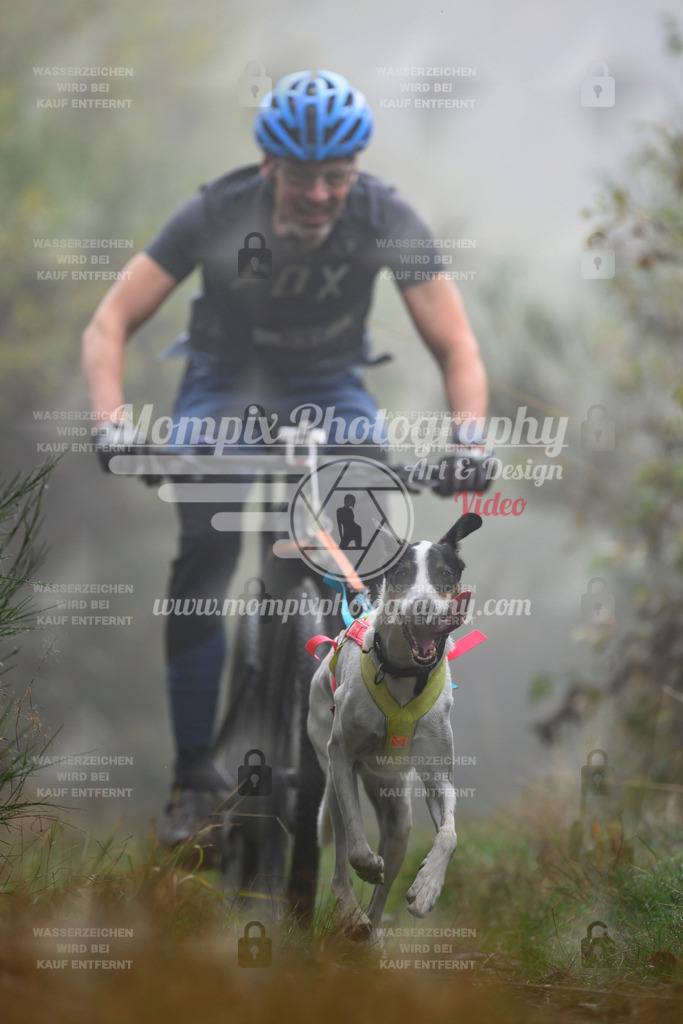 MompixPhotography_20TSB_E4_Bike-113 | PayLife