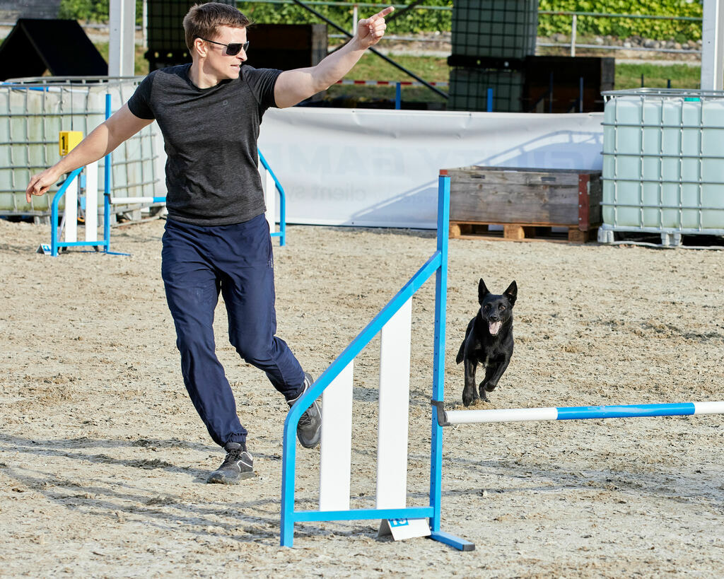 580B0017 | Peter Fridle Fotografie - Realisiert mit Pictrs.com