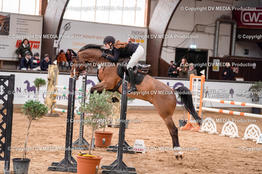 Kranichstein Tag 3-891 | dv-media-shop - Realisiert mit Pictrs.com