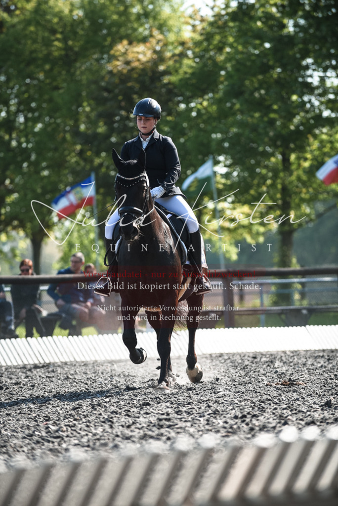DSC_8605 | Pferde- und Turnierfotografie in Westsachsen. Pferdeportraits, Auftragszeichnungen und intuitive Kunst.