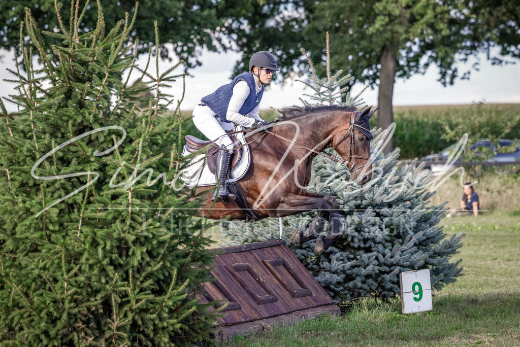 20250906-_3LI7467 | Tierfotografie Pferde, Hunde, Katzen, Haustiere.
Turnierfotografie Reitturniere, Reiten, Springreiten, Dressur in Hanau, dem Main-Kinzig-Kreis und dem Rhein-Main- Gebiet um Frankfurt
