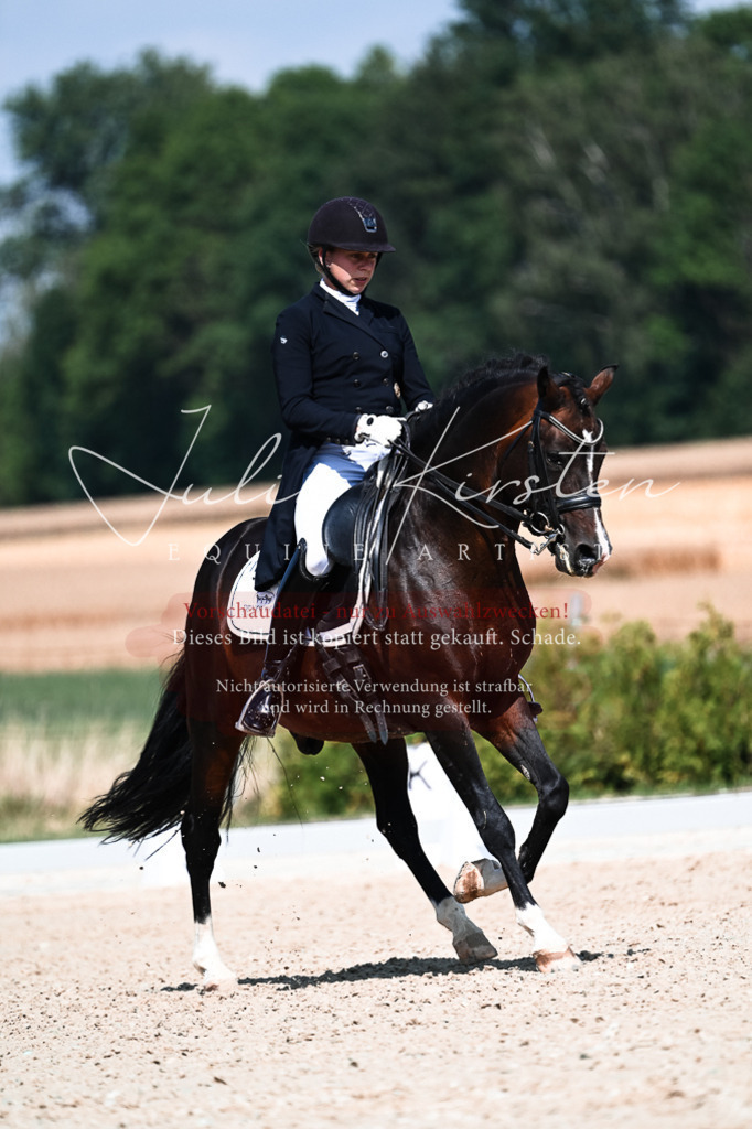 DSC_2951 | Pferde- und Turnierfotografie in Westsachsen. Pferdeportraits, Auftragszeichnungen und intuitive Kunst.