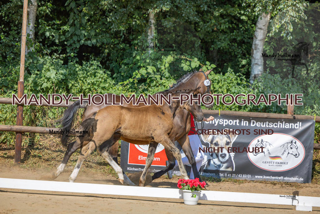 Ganderkesee-167 | mandyhollmannphotographie