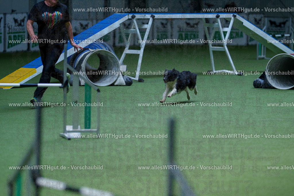 @allesWIRTHgut_Tierfotografie - www.allesWIRTHgut.de - 2604251231-7R502029 | Professionelle Tierfotografie in Mönchengladbach von Daniel Wirth (allesWIRTHgut). Liebevolle & natürliche Bilder von Hunden & Katzen für unvergessliche Erinnerungen.