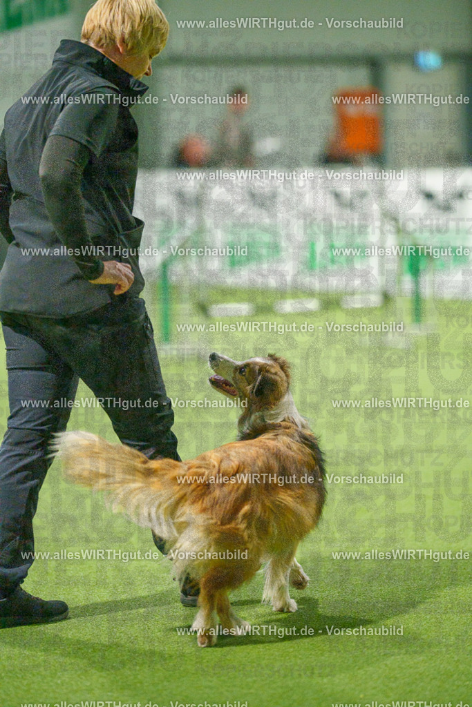 7R504405 | Professionelle Tierfotografie in Mönchengladbach von Daniel Wirth (allesWIRTHgut). Liebevolle & natürliche Bilder von Hunden & Katzen für unvergessliche Erinnerungen.