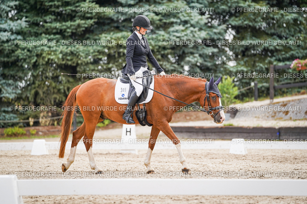 DSC01795 | Pferdegrafie