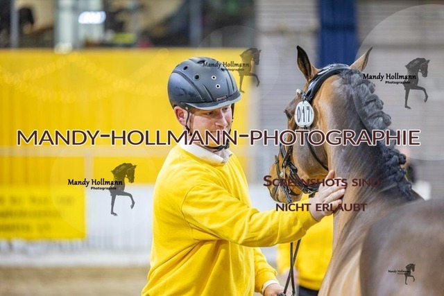 17 (54) | mandyhollmannphotographie