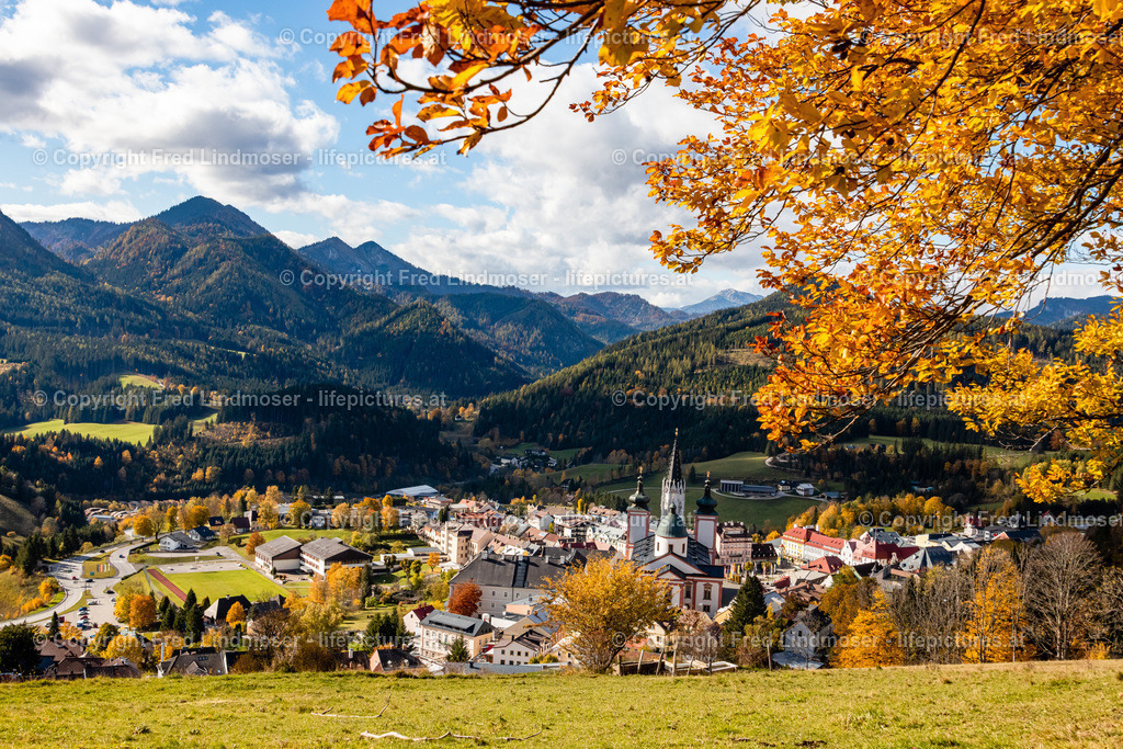 Mariazell Goldener Herbst 23102021-0408 | Fotos und Fotoprodukte - Realisiert mit Pictrs.com