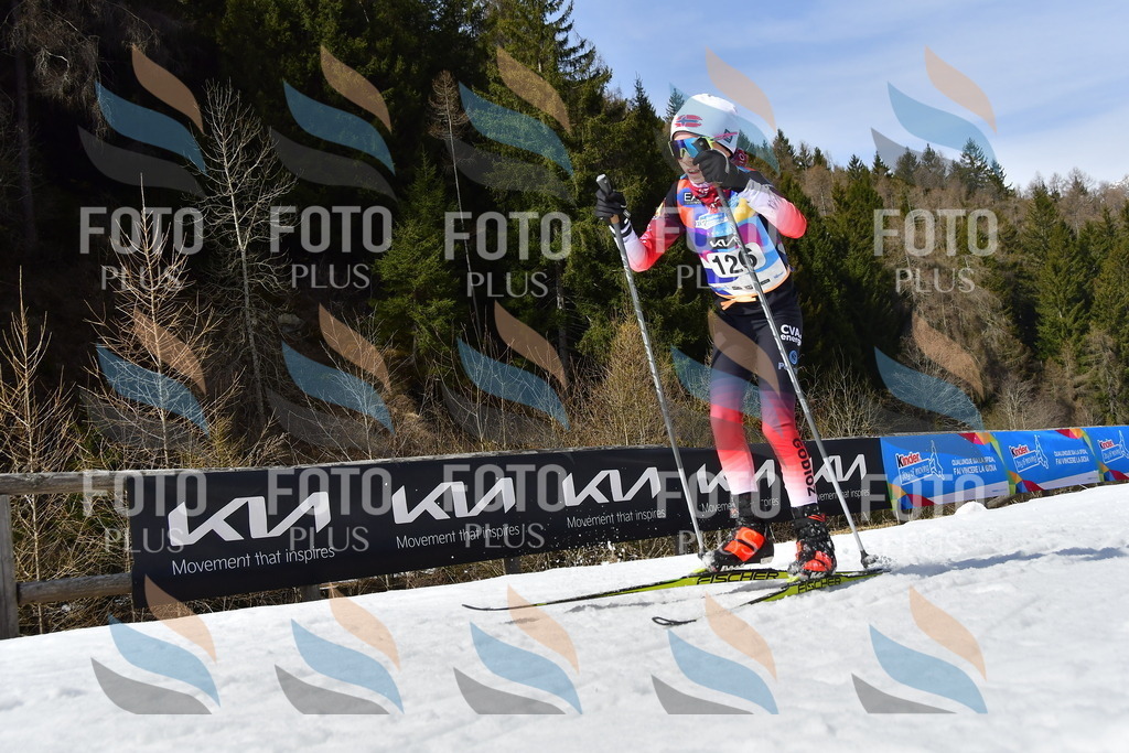 _DSC0166 | holidayphoto