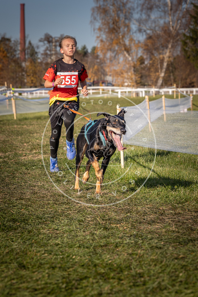 CaniXpix_0L8A7760 | Hundefotografie, Tierfotograf, Pfotenfotografie, Fotoshooting Hund, Hunde Portrait, Hundesport, Hundeportraits, Heideshooting, Hunde, Sportfotograf, Hundefotograf, Turnierhundsport, THS,  - Realisiert mit Pictrs.com