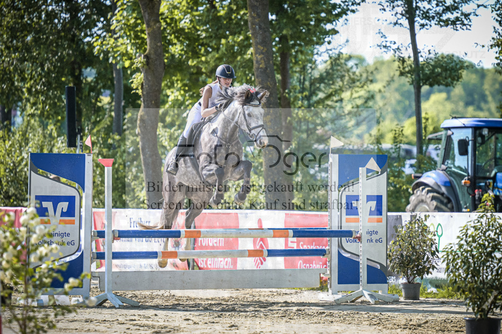 DOS_3088 | Entdecke hochwertige Reitturnierfotos von Foto Oger. Professionell, emotional und authentisch – jetzt Lieblingsmomente im Shop bestellen.Deutschlandweite Turnierfotografie. - Realisiert mit Pictrs.com