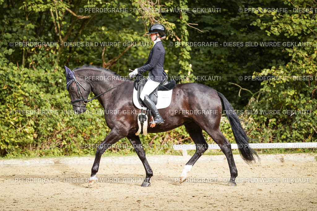 DSC09916 | Pferdegrafie