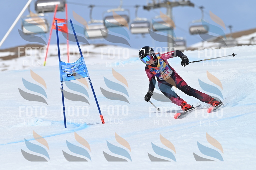 BGV_4199 | holidayphoto