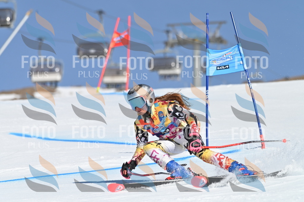 BGV_7841 | holidayphoto