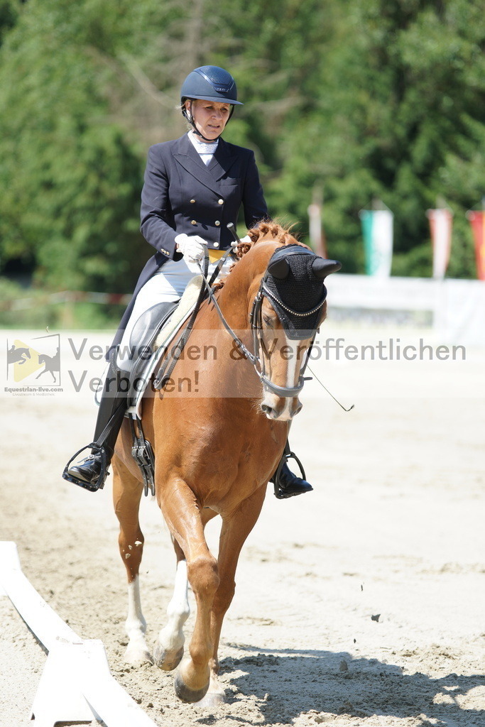 DSC03167 | equestrian-live-com