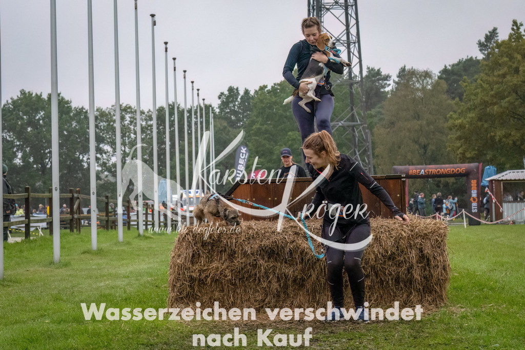 1229--4 | kk-dogfotos