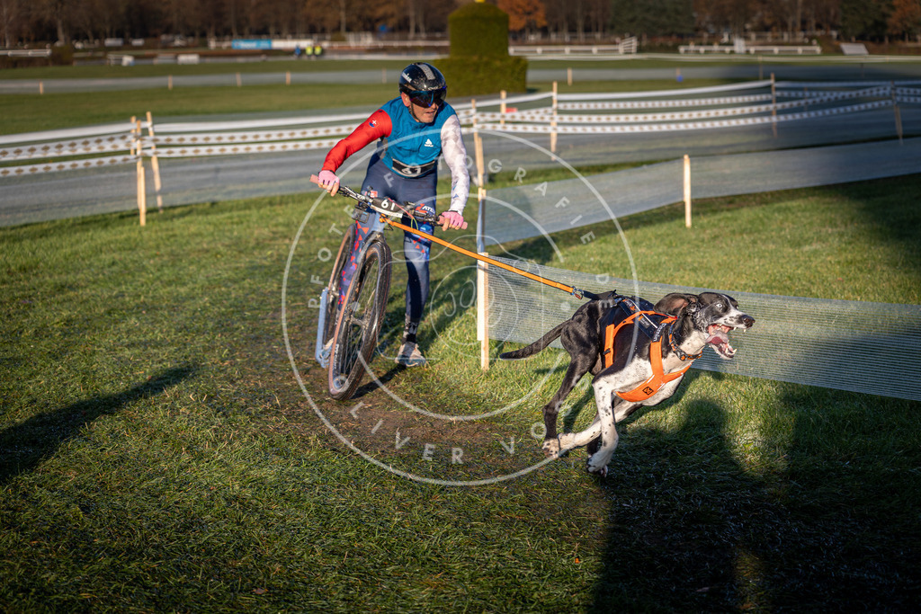CaniXpix_0L8A3108 | Hundefotografie, Tierfotograf, Pfotenfotografie, Fotoshooting Hund, Hunde Portrait, Hundesport, Hundeportraits, Heideshooting, Hunde, Sportfotograf, Hundefotograf, Turnierhundsport, THS,  - Realisiert mit Pictrs.com
