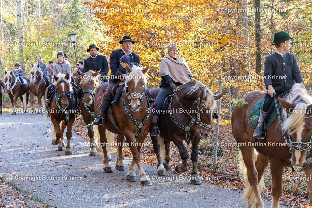 LL24-301 | foto-bettina-krinner - Realisiert mit Pictrs.com
