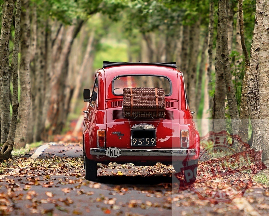 Red vintage Fiat 500 driving through autumn tree tunnel | Red classic Fiat 500 car with picnic basket traveling on an autumn road - Realisiert mit Pictrs.com