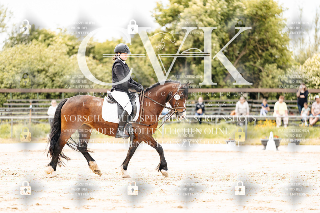CK902804 | Turnierfotografie Pferdefotografie Trier Rheinland-Pfalz Pferdesport Reitsport Tierfotografie Sportfotografie Pferdevideo Pferdevideografie Equestrianvideography equestrianphotography  - Realisiert mit Pictrs.com
