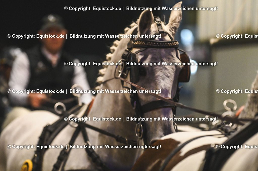 20241115_Fahren-iWest_TOMsPiC_0487 | Foto: Thomas Hartig