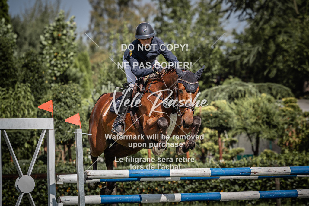 nelerasche_SprL110Ede_95 | nelerasche